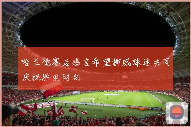 哈兰德赛后感言希望挪威球迷共同庆祝胜利时刻